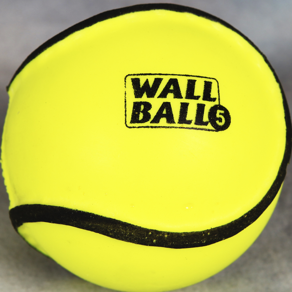 All Weather Wall Balls