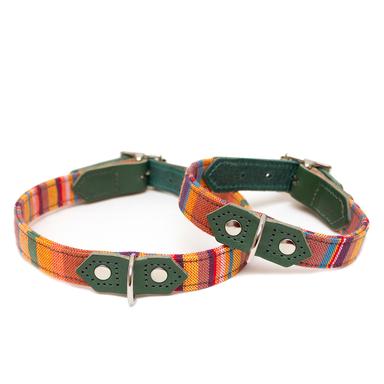 Dogs Collars