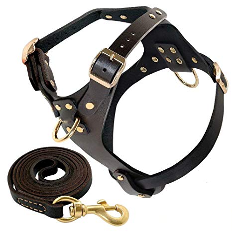 Leather Dog Harness