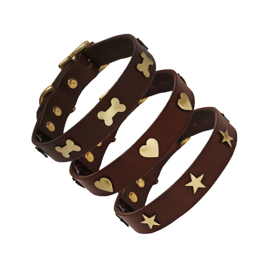 Dogs Collars