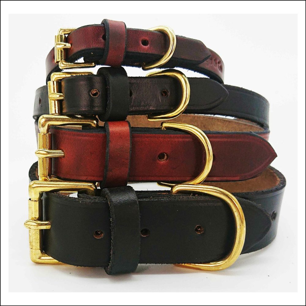 Dogs Collars