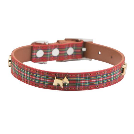 Dogs Collars