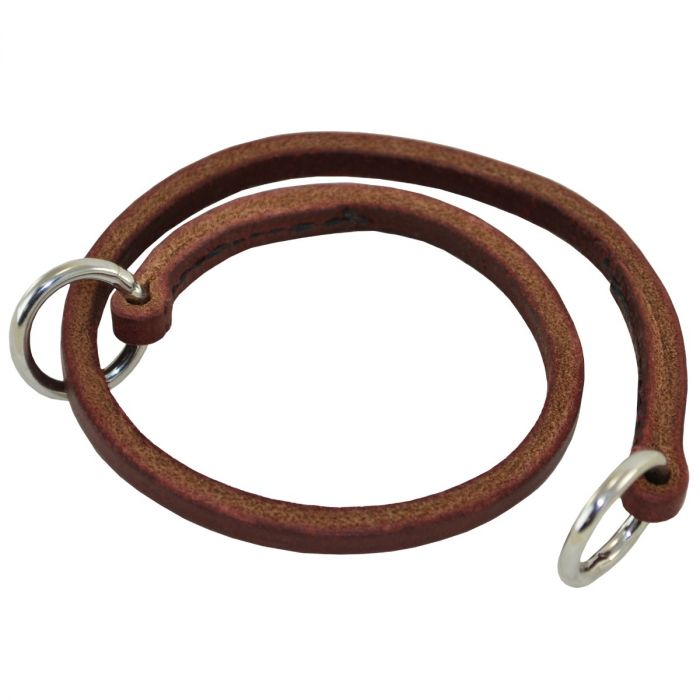 Dogs Collars
