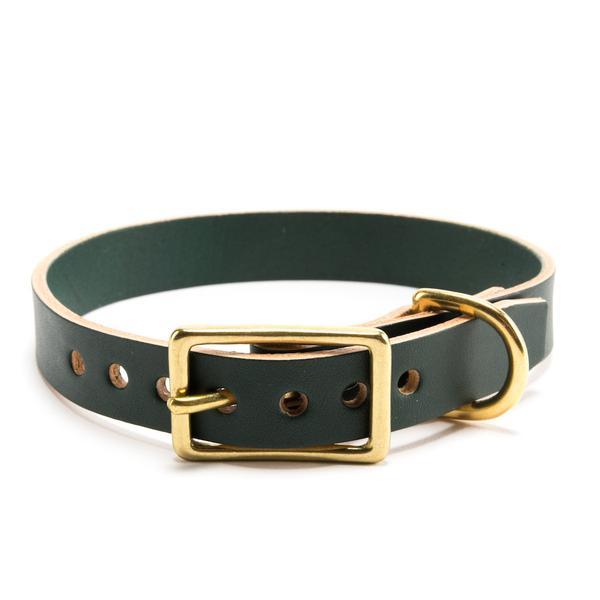 Dogs Collars