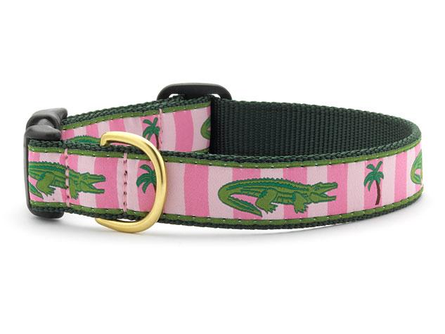 Dogs Collars