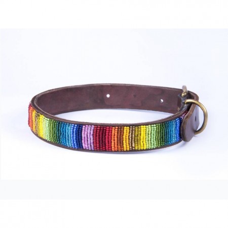 Dogs Collars