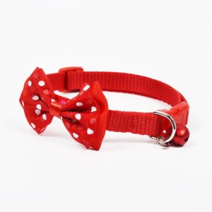 Dogs Collars