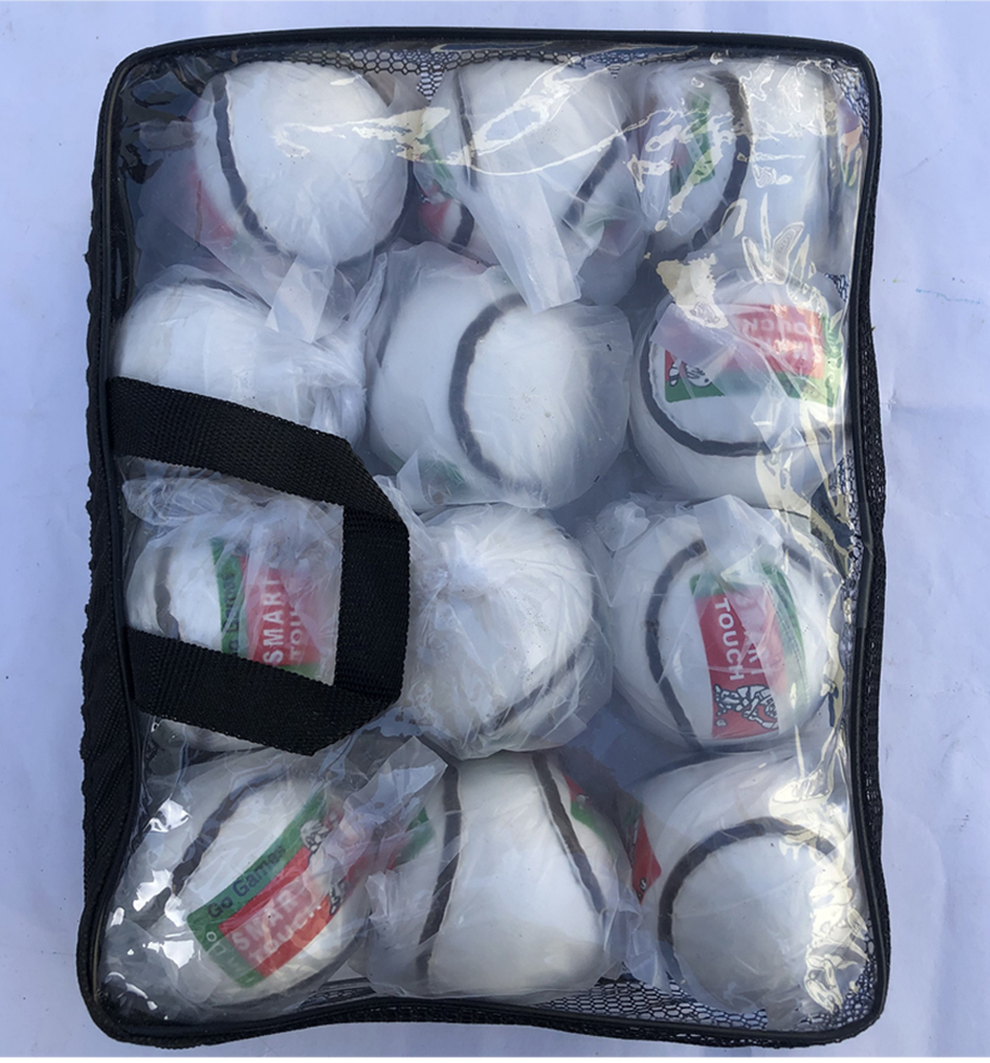 Match Sliotars Hurling Balls